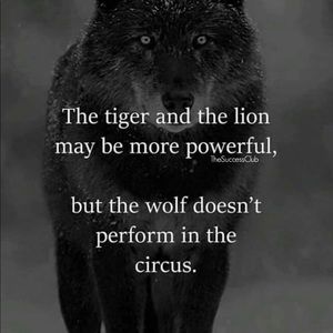 Meet your Posher, Owen